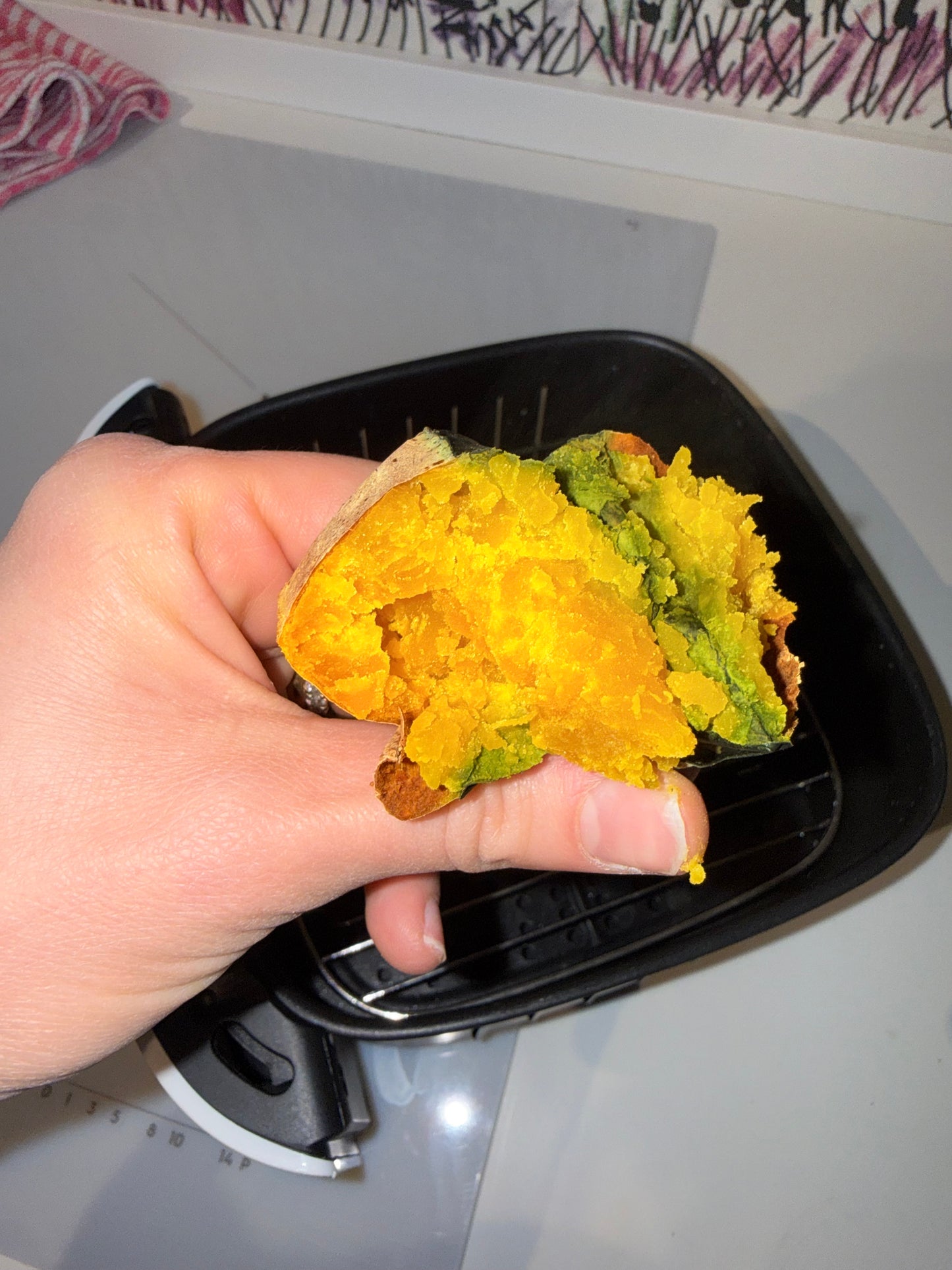 Egizia - la delica del deserto