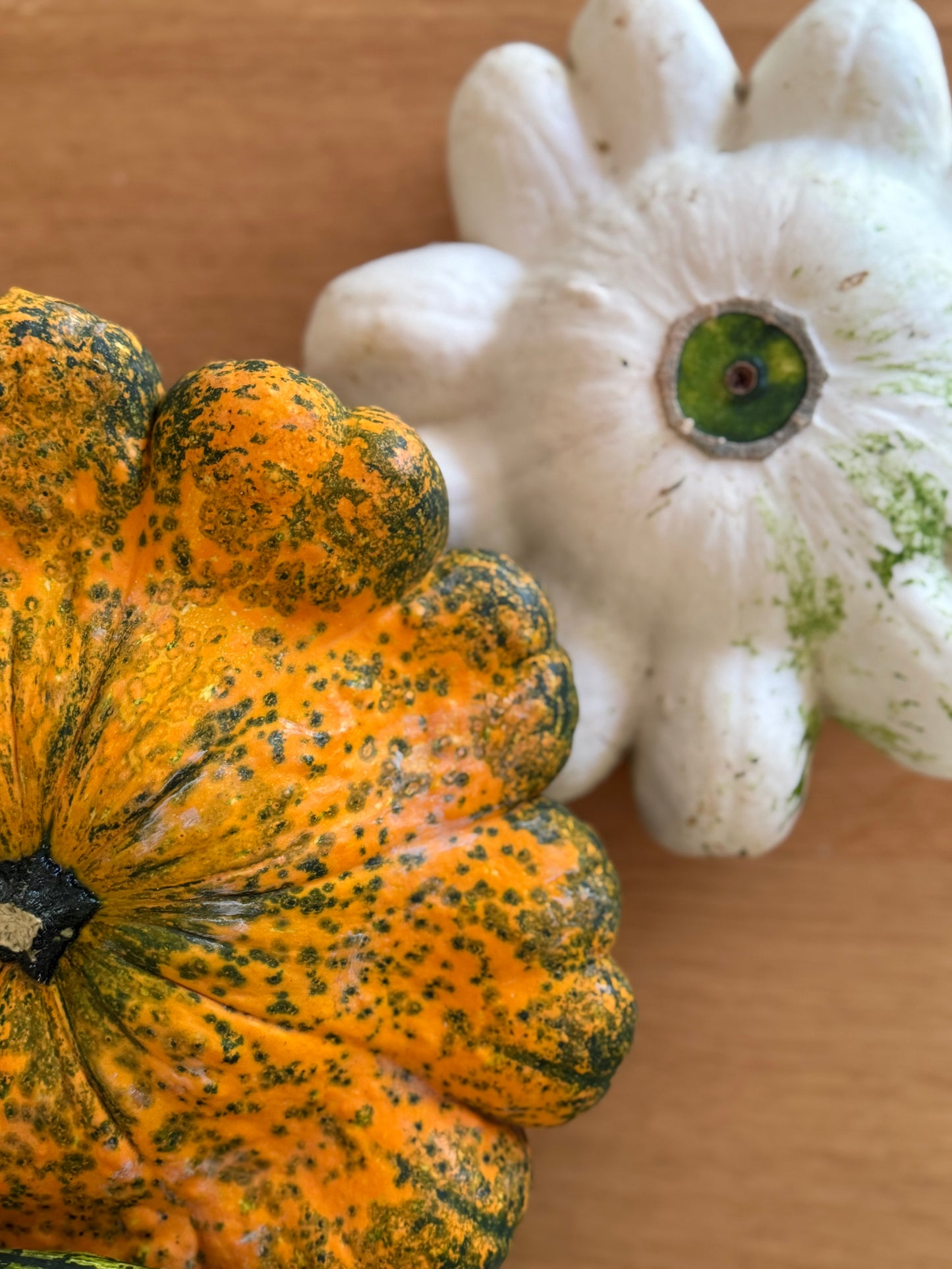 Zucca Ornamentale Mix
