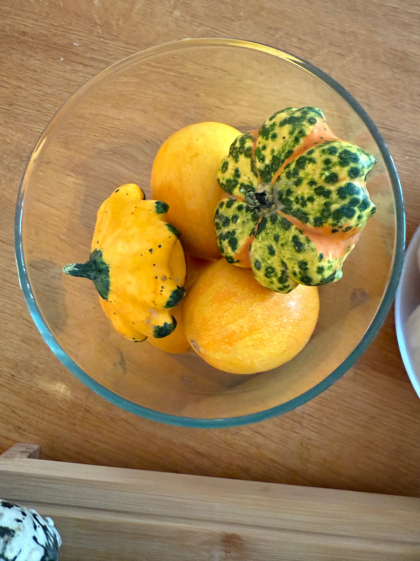 Zucca Ornamentale Mix