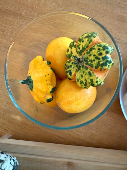 Zucca Ornamentale Mix