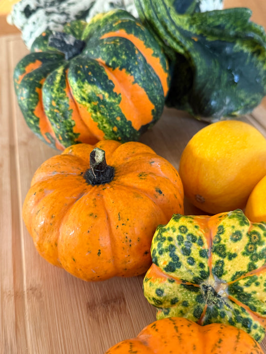 Zucca Ornamentale Mix