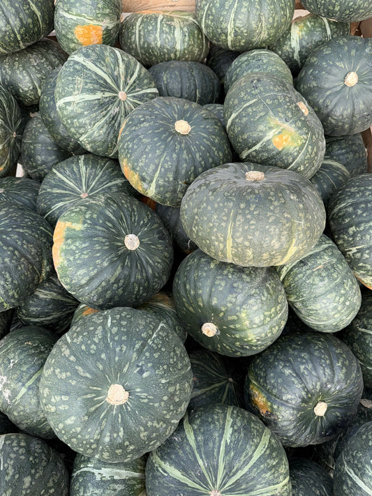 Dulcimax Sud Africa GOLD