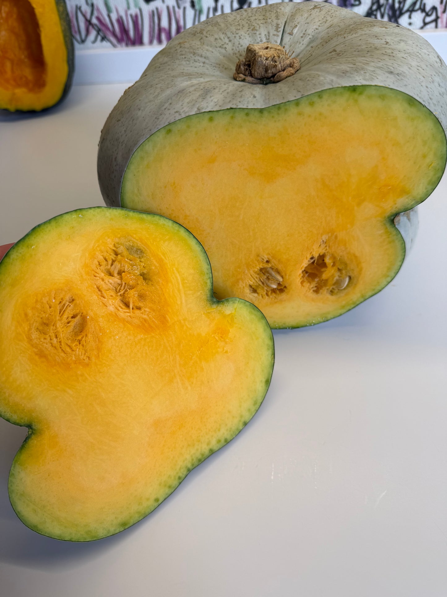 Zucca Cappello da Prete