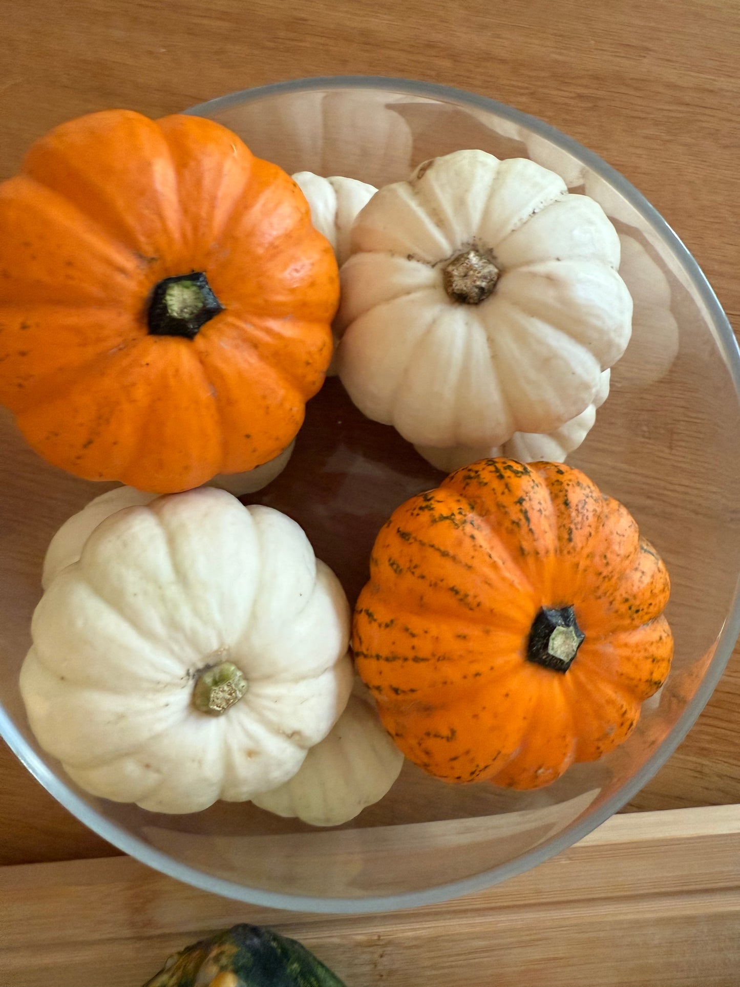 Zucca Ornamentale Mix