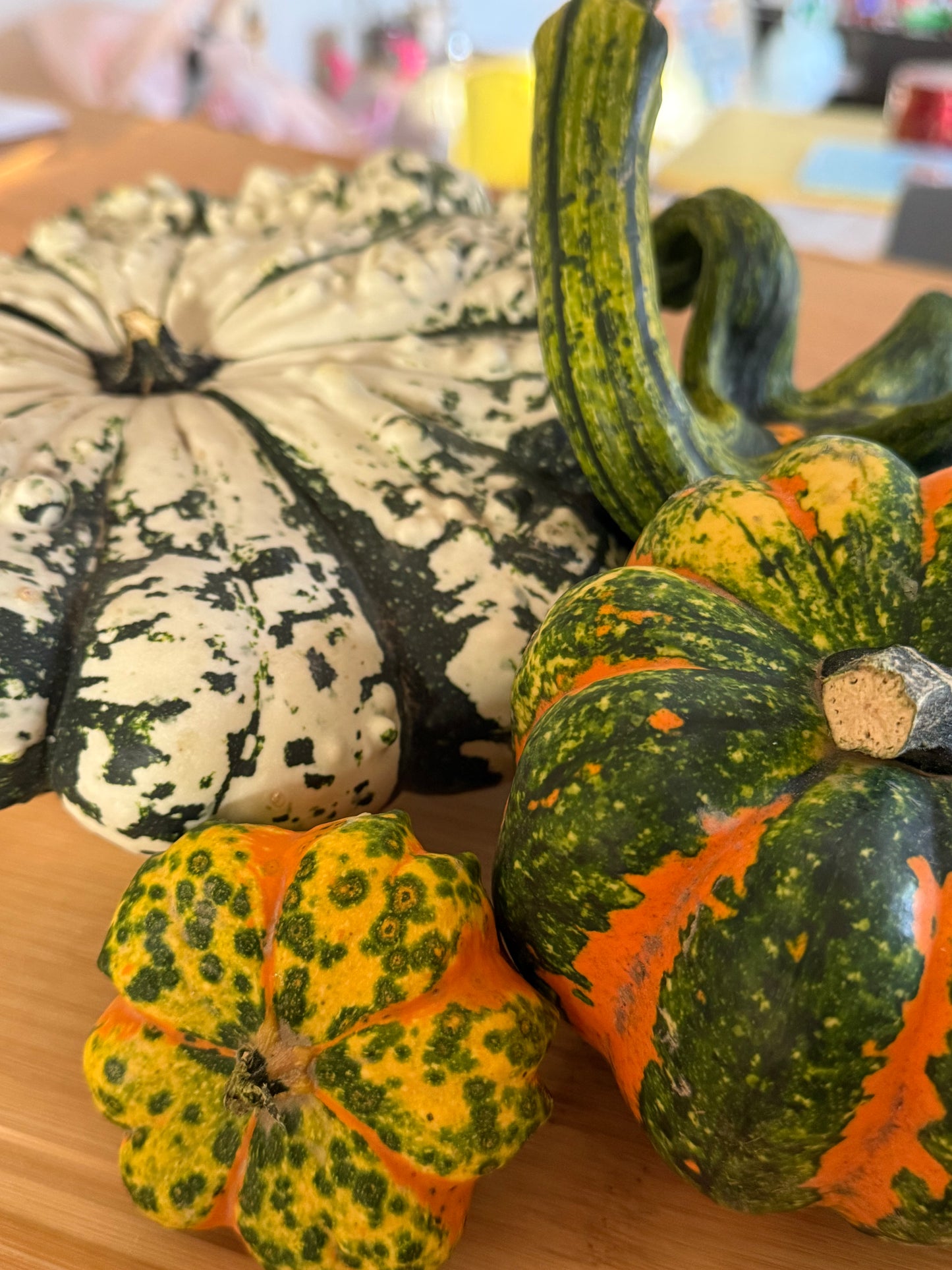 Zucca Ornamentale Mix
