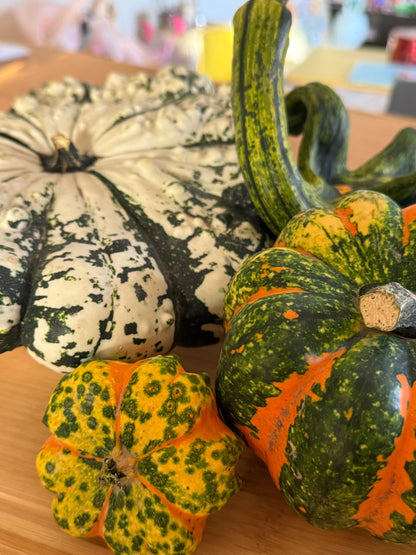 Zucca Ornamentale Mix