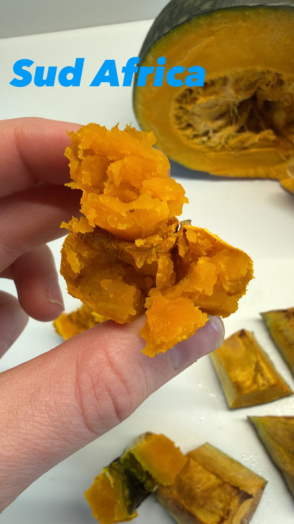 Dulcimax Sud Africa GOLD