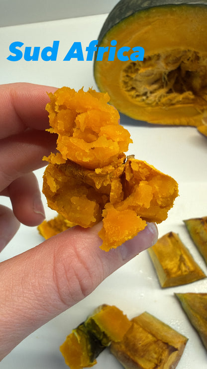 Dulcimax Sud Africa GOLD