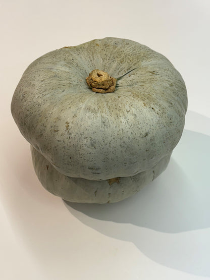 Zucca Cappello da Prete