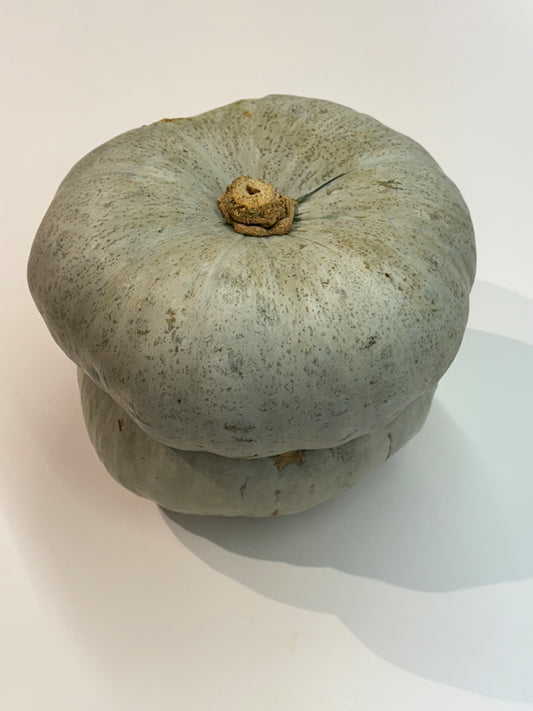 Zucca Cappello da Prete