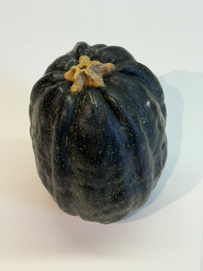 Zucca Nostrana