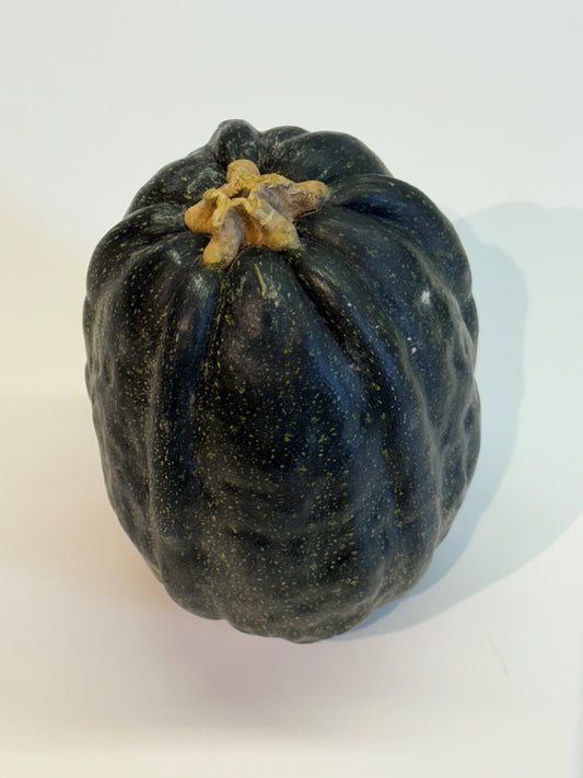 Zucca Nostrana
