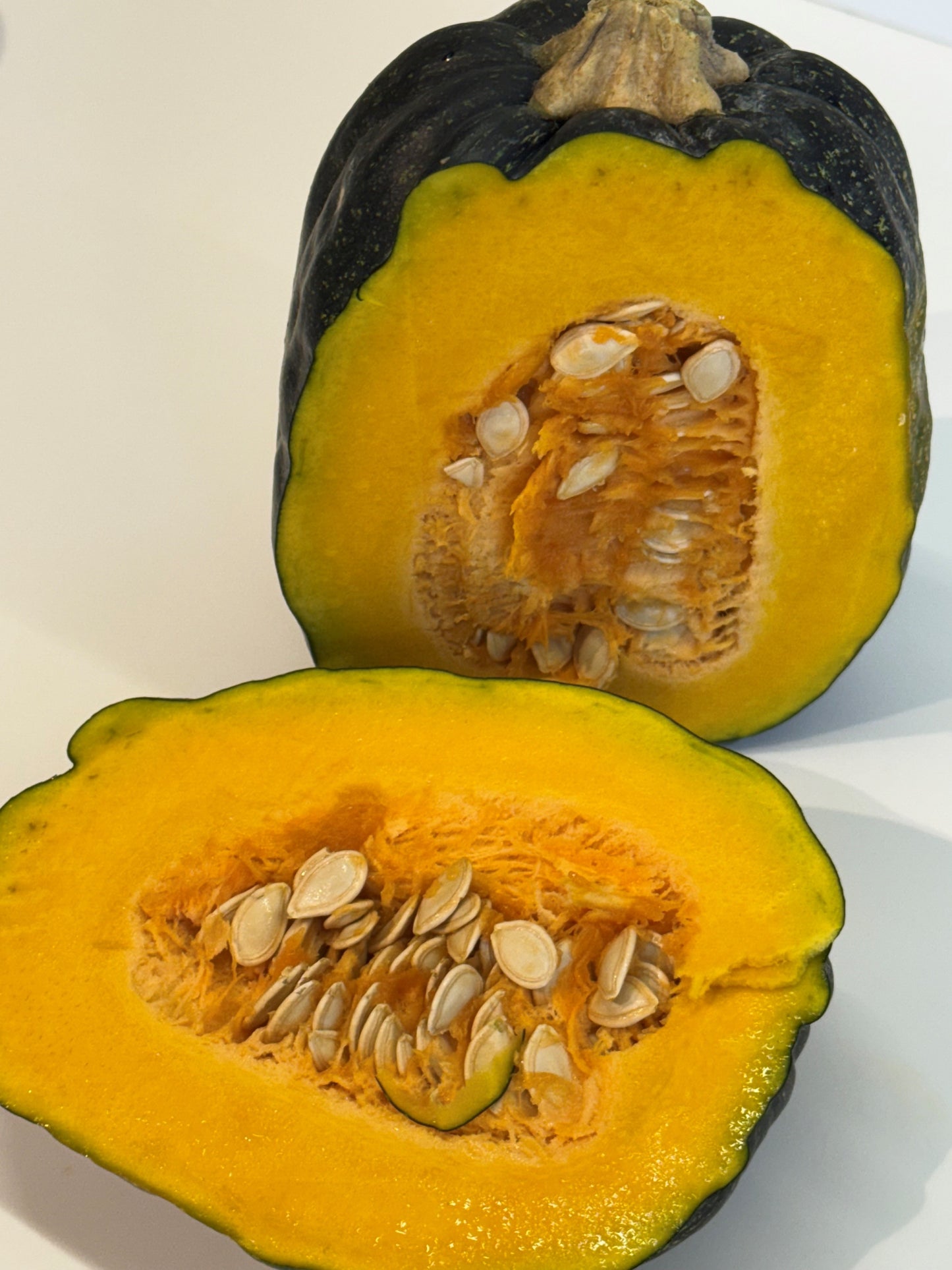 Zucca Nostrana